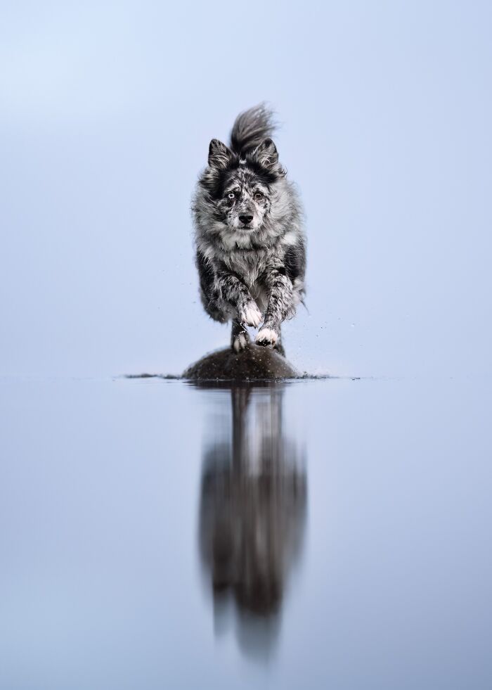 Action Category – "Weightless" By Shandess Griffin