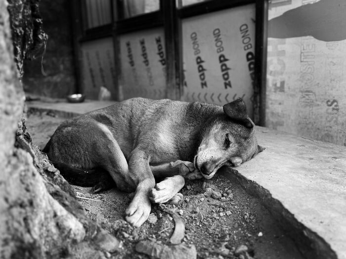 Documentary – "A Small Gesture" By Kelly Borgers