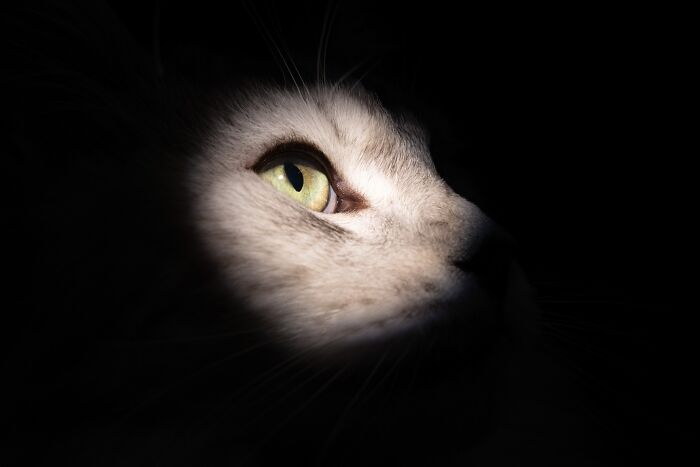 In-Camera Artistry – "Within The Dark There Is Light" By Lisa Olson