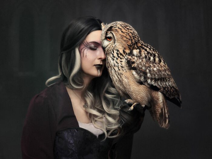 Pets And People – "Plugin To Your Wisdom" By Sandra Ferwerda