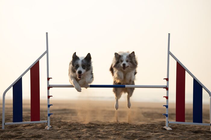In-Camera Artistry – "Jump" By He Huapei