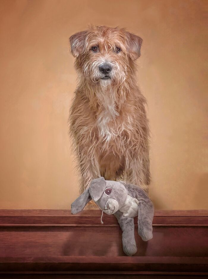 Phone Category – "The Watchful Gaze" By Christel Wellens