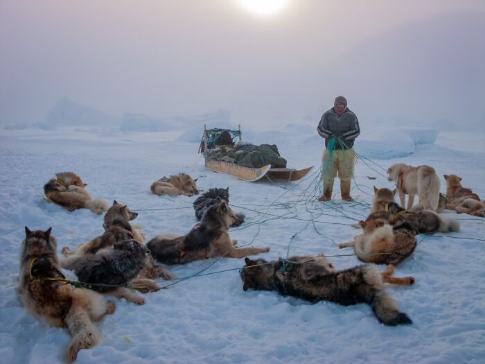 Documentary – "A Pause To Untangle Ice Fishing By Dog Sled" By Roberta Holden