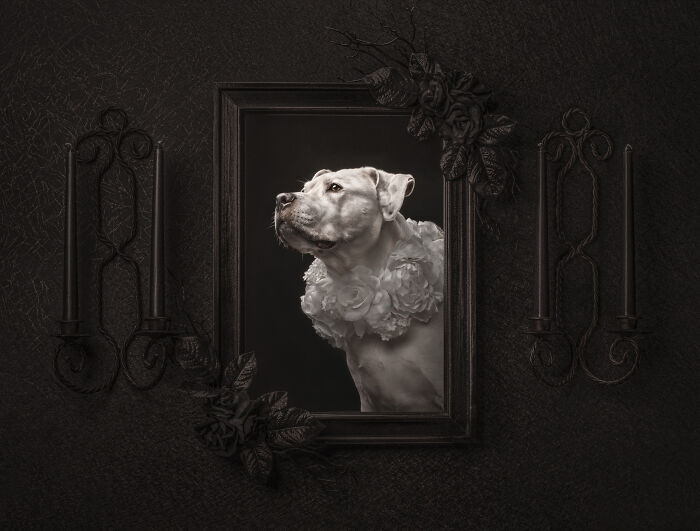 Studio Category – "Work Of Art" By Katie Brockman
