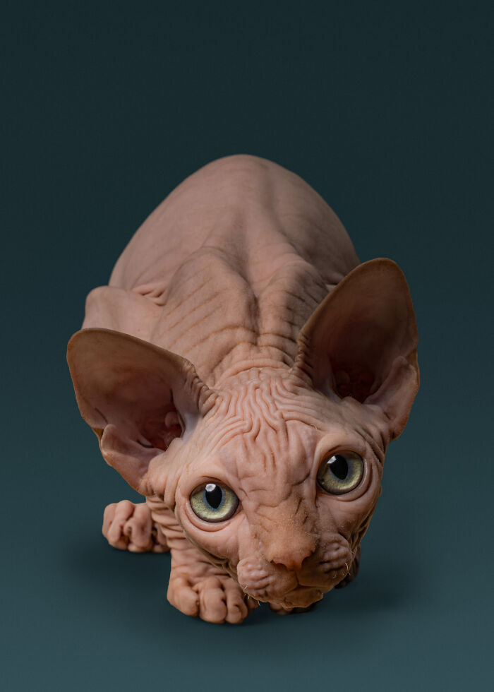 Studio Category – Finalist By Rachel Mccready