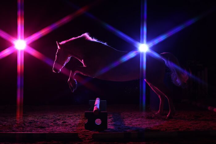 In-Camera Artistry – "Starstruck" By Andrea Zachrau