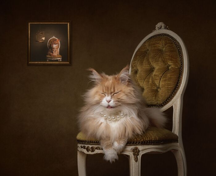Feline Portrait – "Wodan The Aristocat" By Mirka Koot