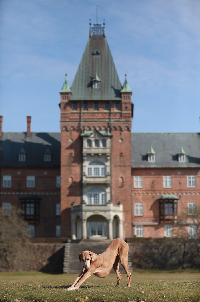 In-Camera Artistry – "Queen Of The Castle" By Sanna Sander