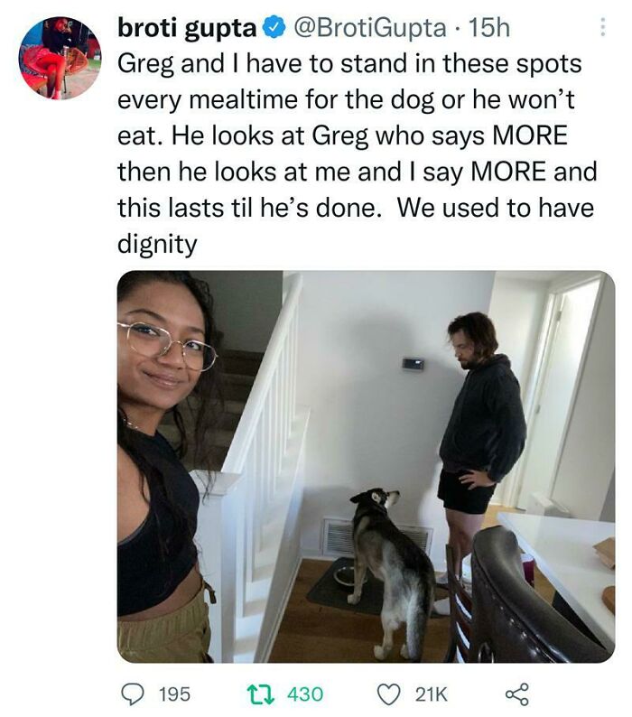 Get A Dog, They Said. It'll Be Fun, They Said.