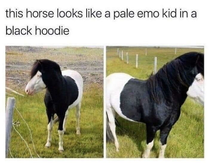 Thanks, But No Thanks, Emo Horse
