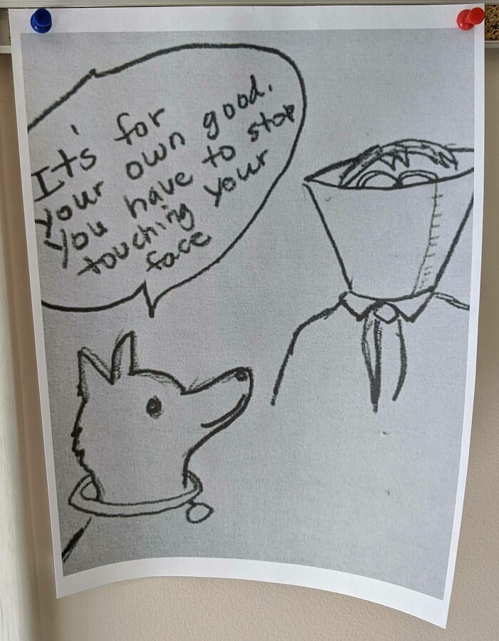 Wait, They Actually Ranked These Mildly Amusing Pics!?