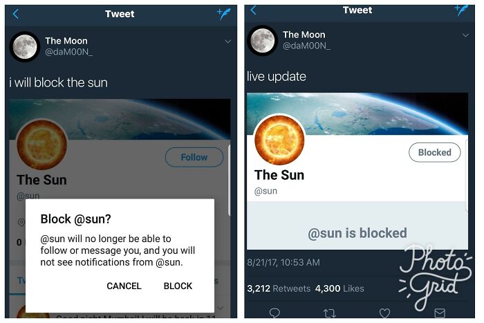 Wait, They Actually Ranked These Mildly Amusing Pics!?