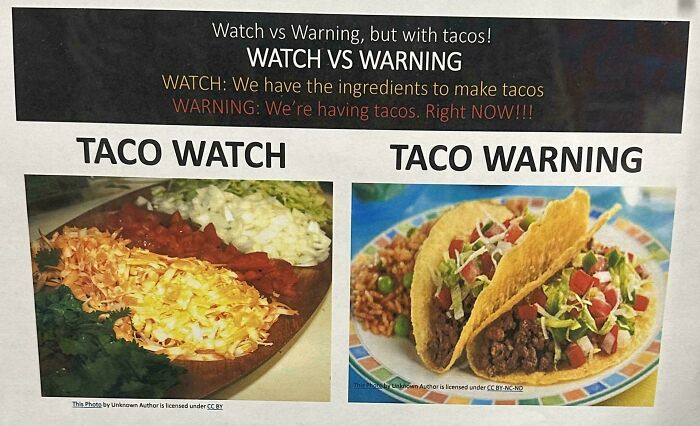 Wait, They Actually Ranked These Mildly Amusing Pics!?