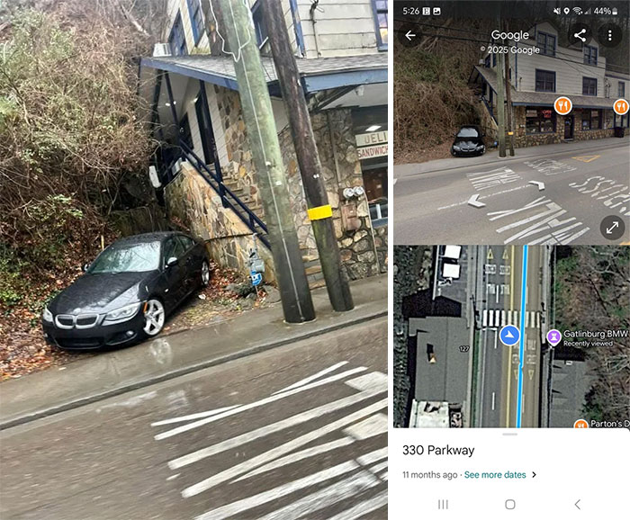 Wait, They Actually Ranked These Mildly Amusing Pics!?
