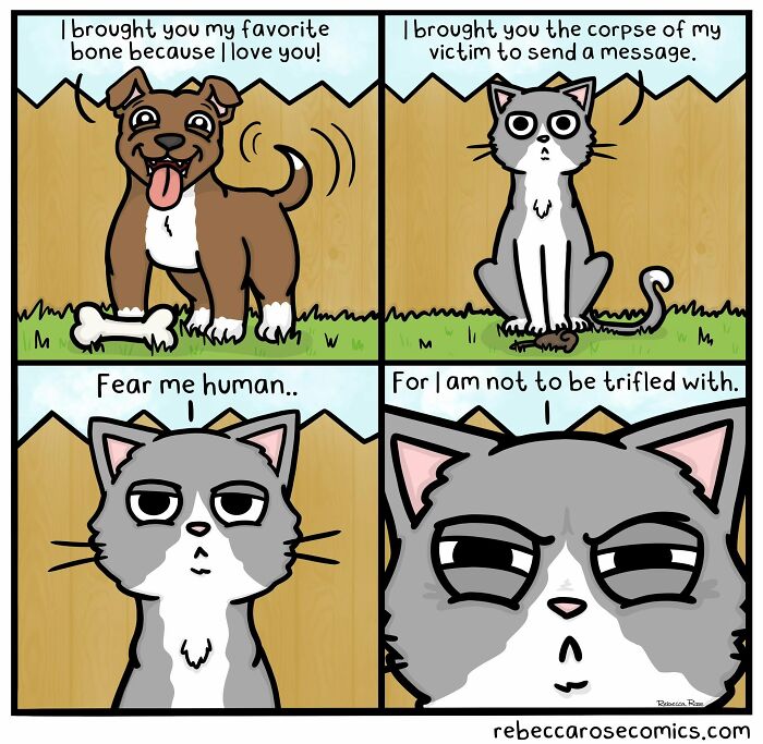 34 Comics That Totally Get How Weird Life Actually Is
