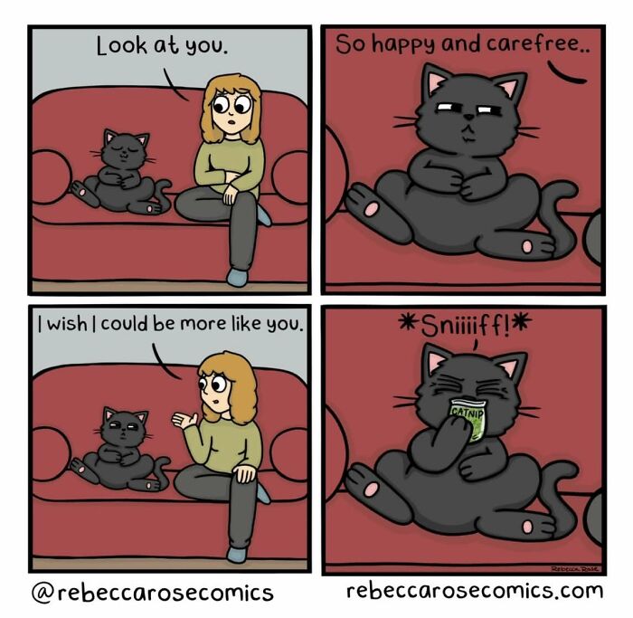 34 Comics That Totally Get How Weird Life Actually Is