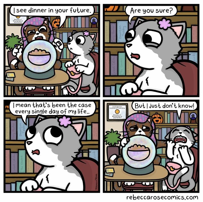 34 Comics That Totally Get How Weird Life Actually Is