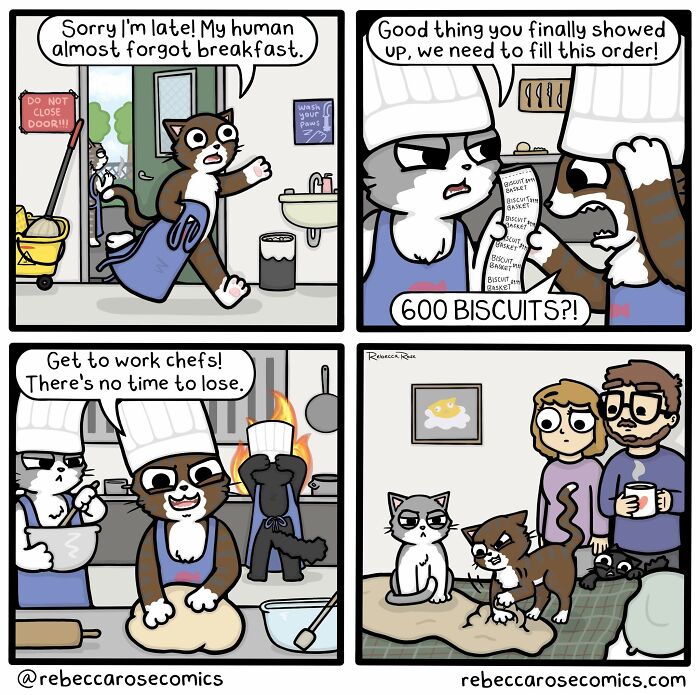 34 Comics That Totally Get How Weird Life Actually Is