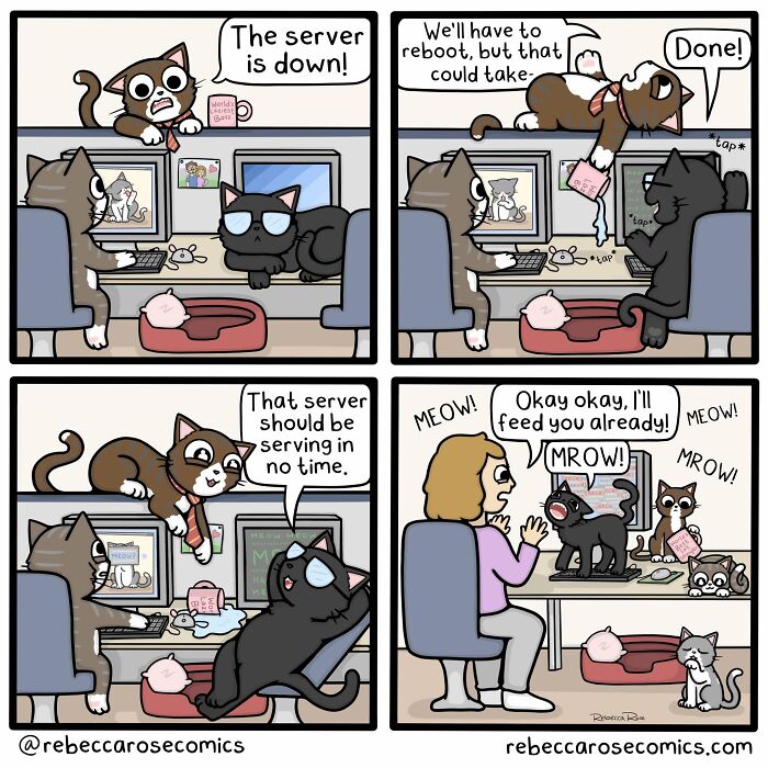 34 Comics That Totally Get How Weird Life Actually Is