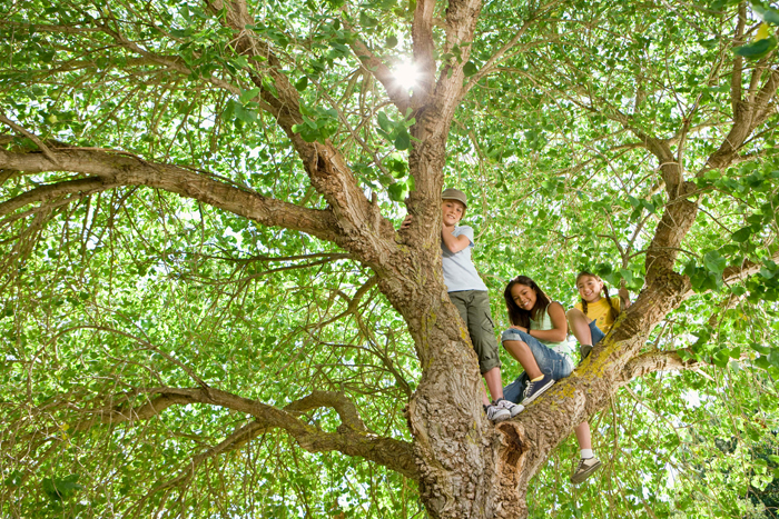 Hold Up, People Survived WHAT?! Wild Near-Death Stories You’ve Gotta Hear