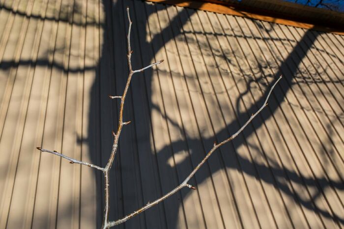31 Street Photos That Might Just Trick Your Brain (Look Twice!)