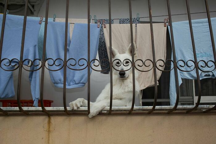 31 Street Photos That Might Just Trick Your Brain (Look Twice!)