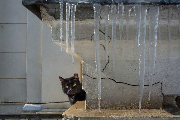 31 Street Photos That Might Just Trick Your Brain (Look Twice!)
