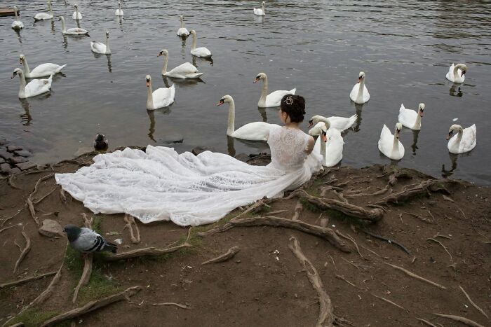 31 Street Photos That Might Just Trick Your Brain (Look Twice!)