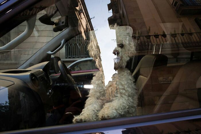 31 Street Photos That Might Just Trick Your Brain (Look Twice!)