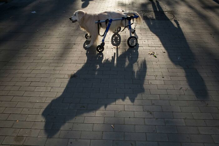 31 Street Photos That Might Just Trick Your Brain (Look Twice!)