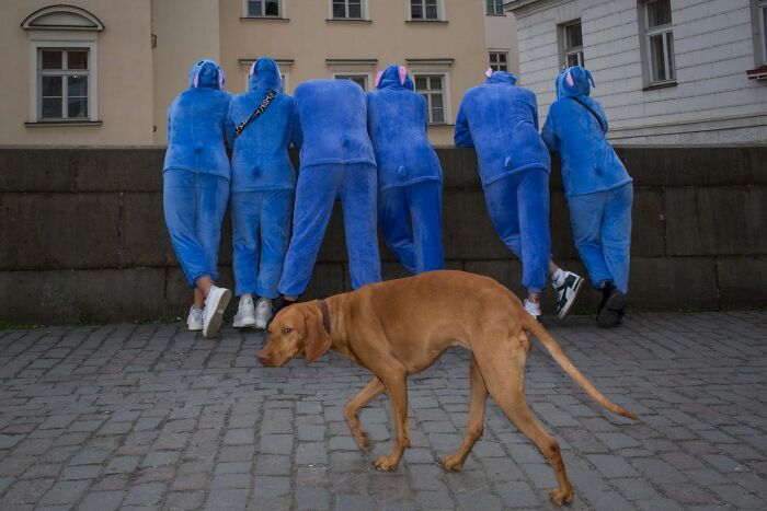 31 Street Photos That Might Just Trick Your Brain (Look Twice!)