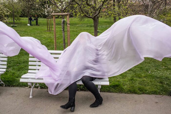 31 Street Photos That Might Just Trick Your Brain (Look Twice!)