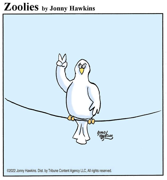 Dove Drama