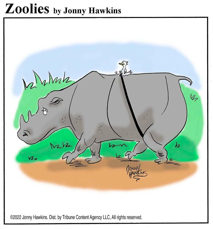 Rhino Rider’s Wild Ride
