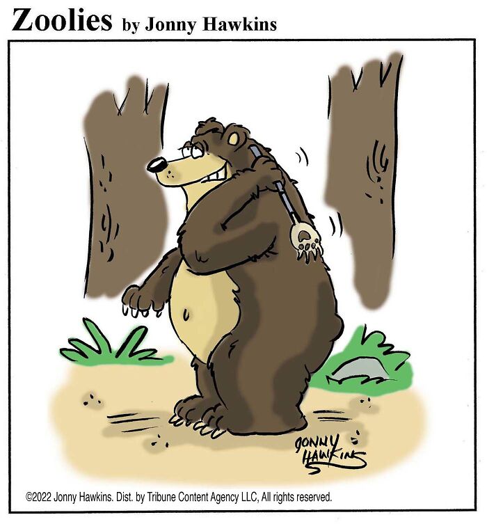Bear Gets the Scratch Itch