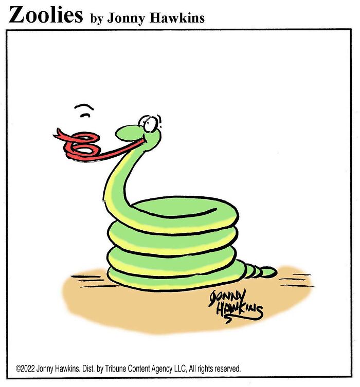 Snake’s Cozy Coil