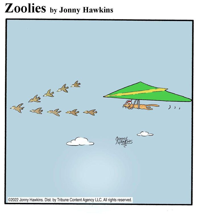 Cat’s Hang Gliding Adventure