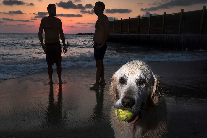 50 Dog Photos That Happened Exactly When They Were Meant To