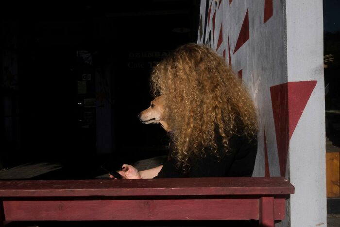 50 Dog Photos That Happened Exactly When They Were Meant To