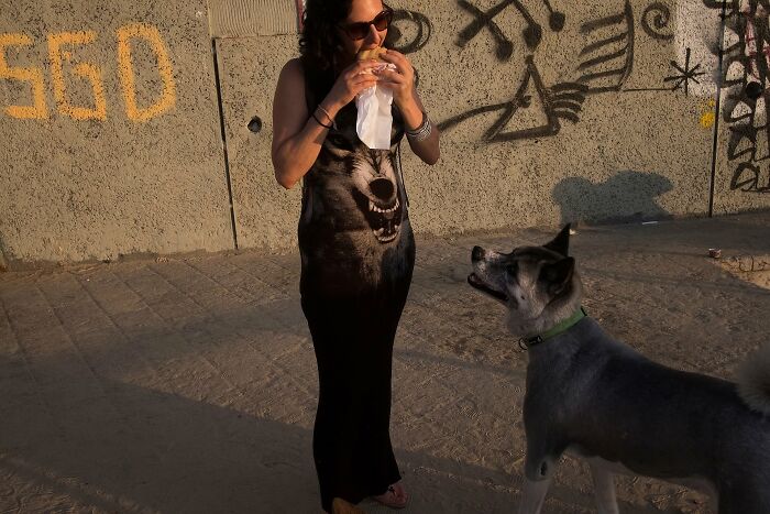 50 Dog Photos That Happened Exactly When They Were Meant To