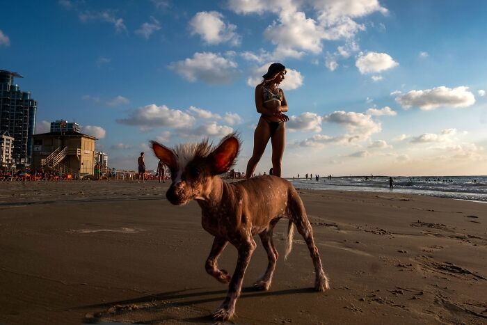 50 Dog Photos That Happened Exactly When They Were Meant To