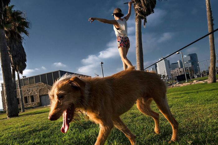 50 Dog Photos That Happened Exactly When They Were Meant To