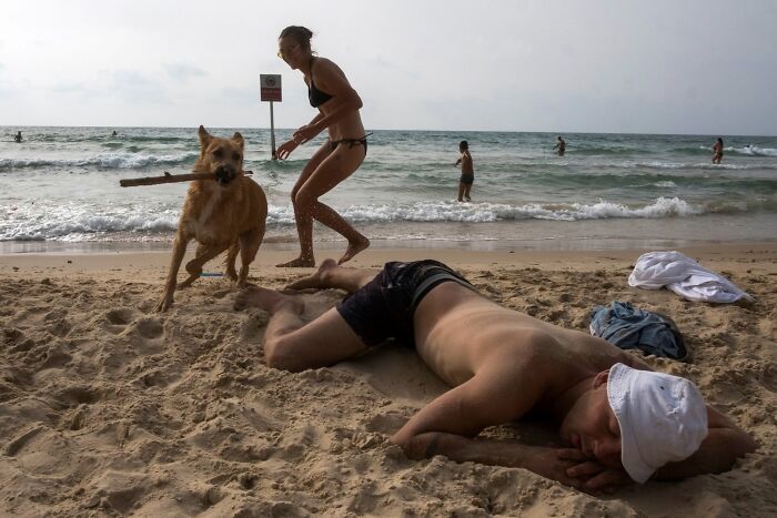 50 Dog Photos That Happened Exactly When They Were Meant To
