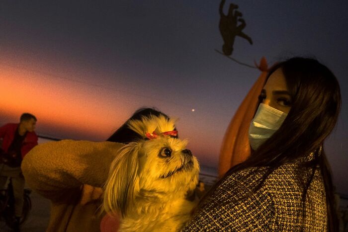 50 Dog Photos That Happened Exactly When They Were Meant To