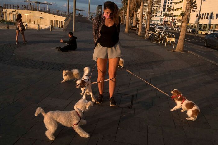 50 Dog Photos That Happened Exactly When They Were Meant To