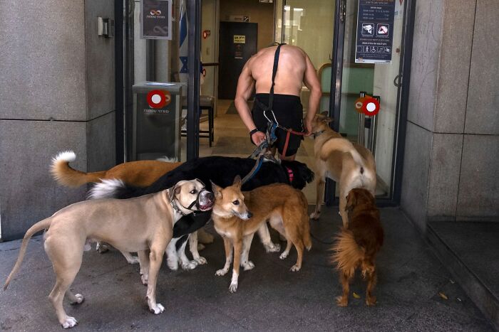 50 Dog Photos That Happened Exactly When They Were Meant To