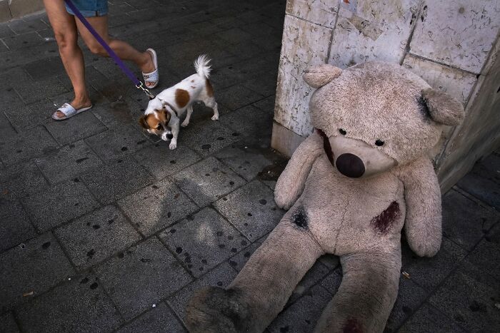 50 Dog Photos That Happened Exactly When They Were Meant To