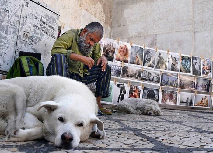 50 Dog Photos That Happened Exactly When They Were Meant To