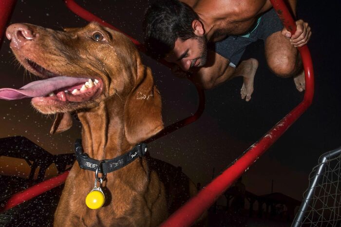 50 Dog Photos That Happened Exactly When They Were Meant To