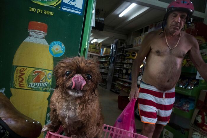 50 Dog Photos That Happened Exactly When They Were Meant To